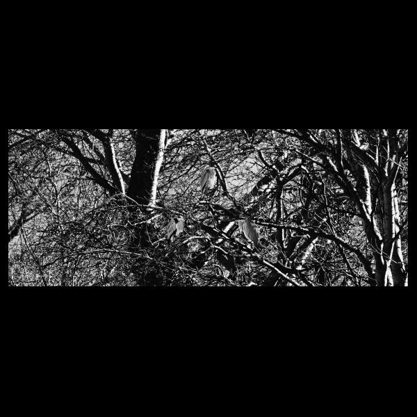 PHOTO84, CLUB, 84 , LUBERON